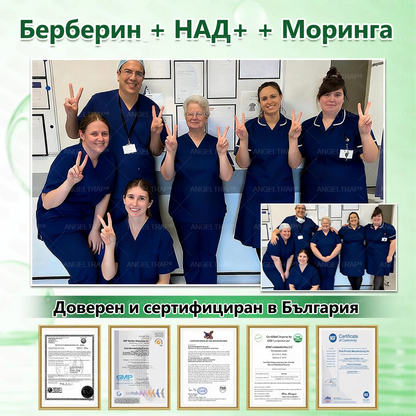 🩷✅𝐀𝐍𝐆𝐄𝐋𝐓𝐑𝐀𝐏® Моринга 𝗑 Берберин 𝗑 𝖠𝖬𝖯𝖪 𝟣𝟢-в-𝟣 Нано микроиглен пластир за метаболитна подкрепа |Само 𝟏× дневно ✅ Видими промени за 𝟕 дни – при затлъстяване, сърдечно-съдово здраве, диабет и ставни проблеми